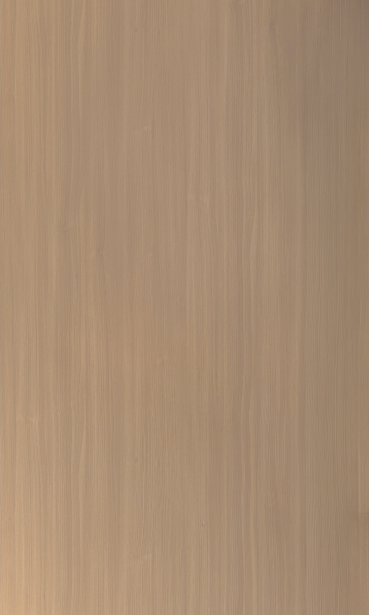PARED FIBRA DE BAMBÚ Y PVC